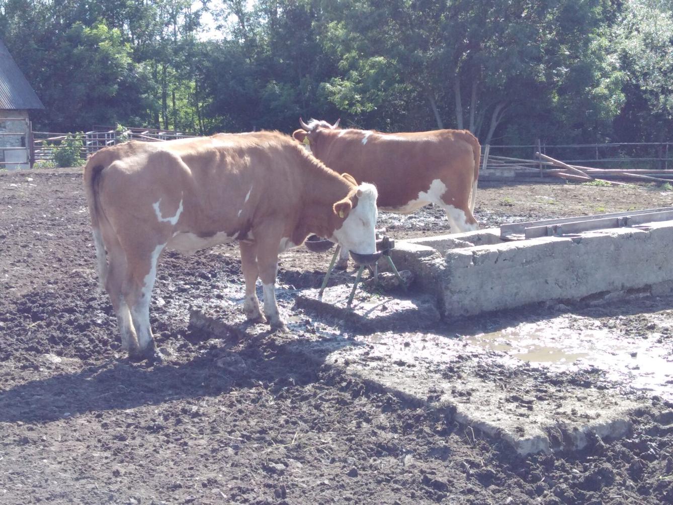 SLÁVA, NAZDAR VÝLETU!!!! - 26