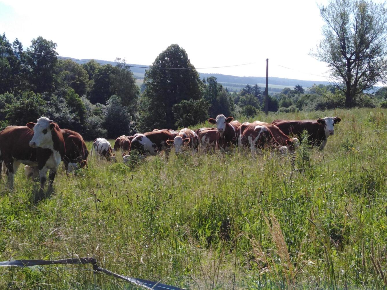 SLÁVA, NAZDAR VÝLETU!!!! - 27