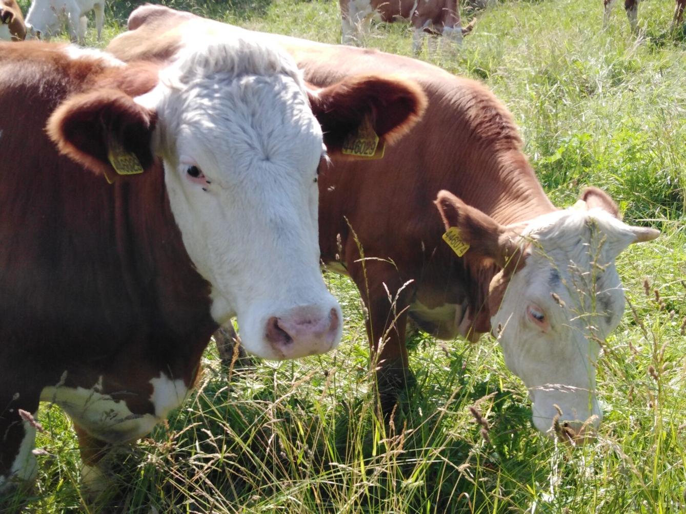 SLÁVA, NAZDAR VÝLETU!!!! - 28