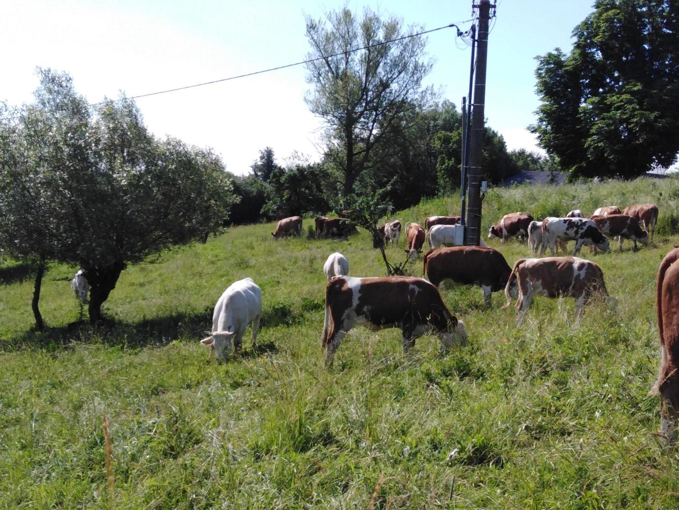 SLÁVA, NAZDAR VÝLETU!!!! - 30