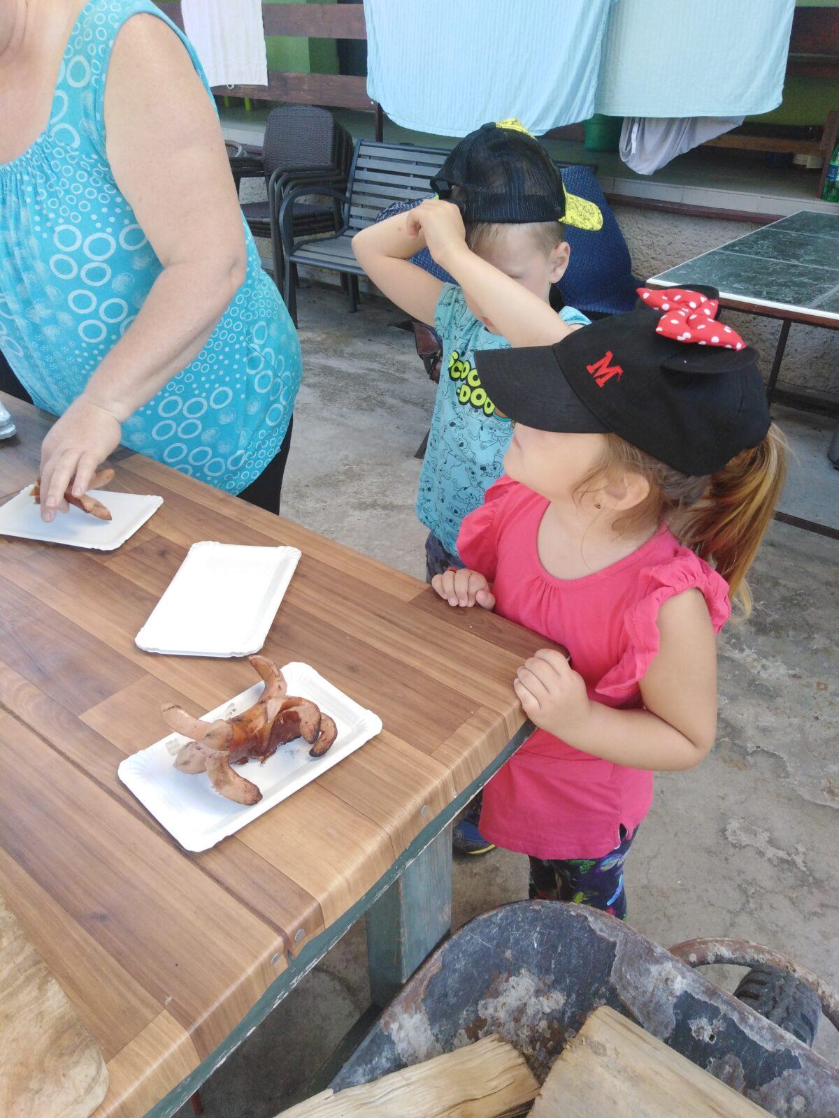 SLÁVA, NAZDAR VÝLETU!!!! - 68