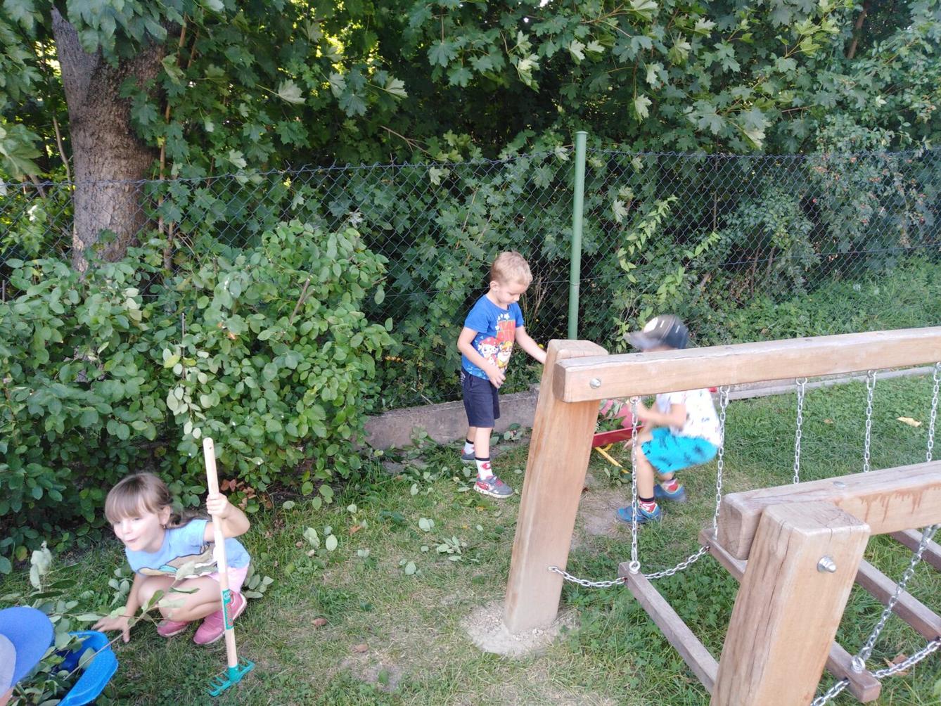 Odpolední práce za zahradě - 5