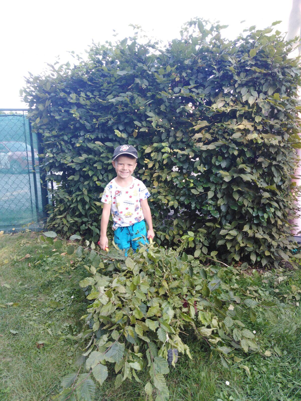 Odpolední práce za zahradě - 6