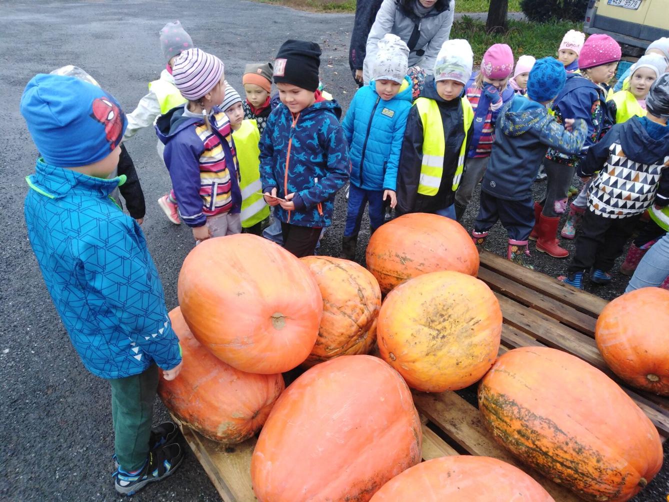Vycházka k dýním - 2