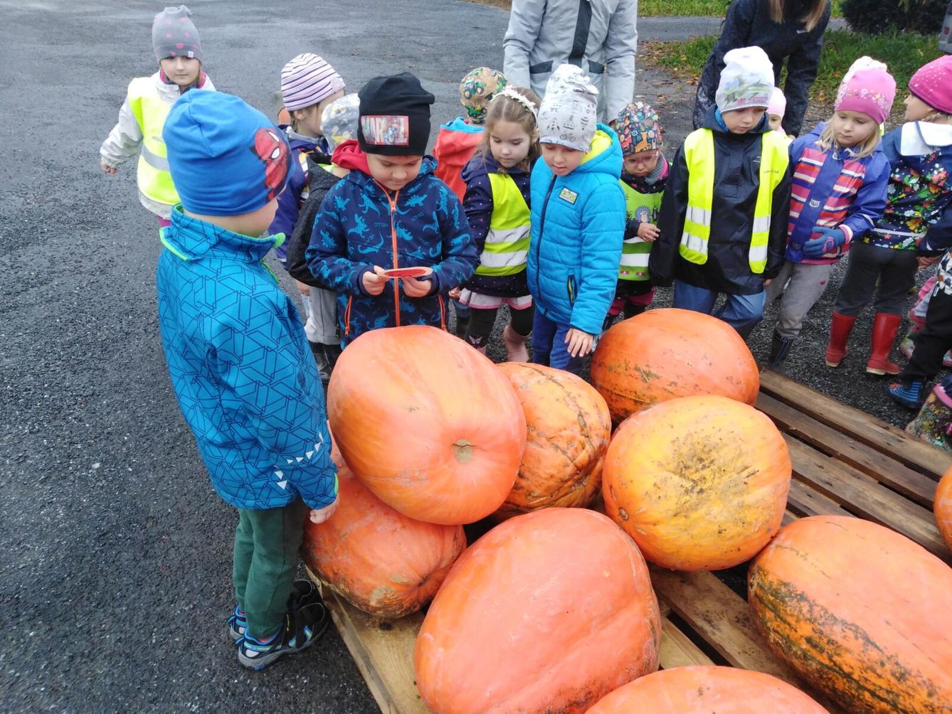 Vycházka k dýním - 3