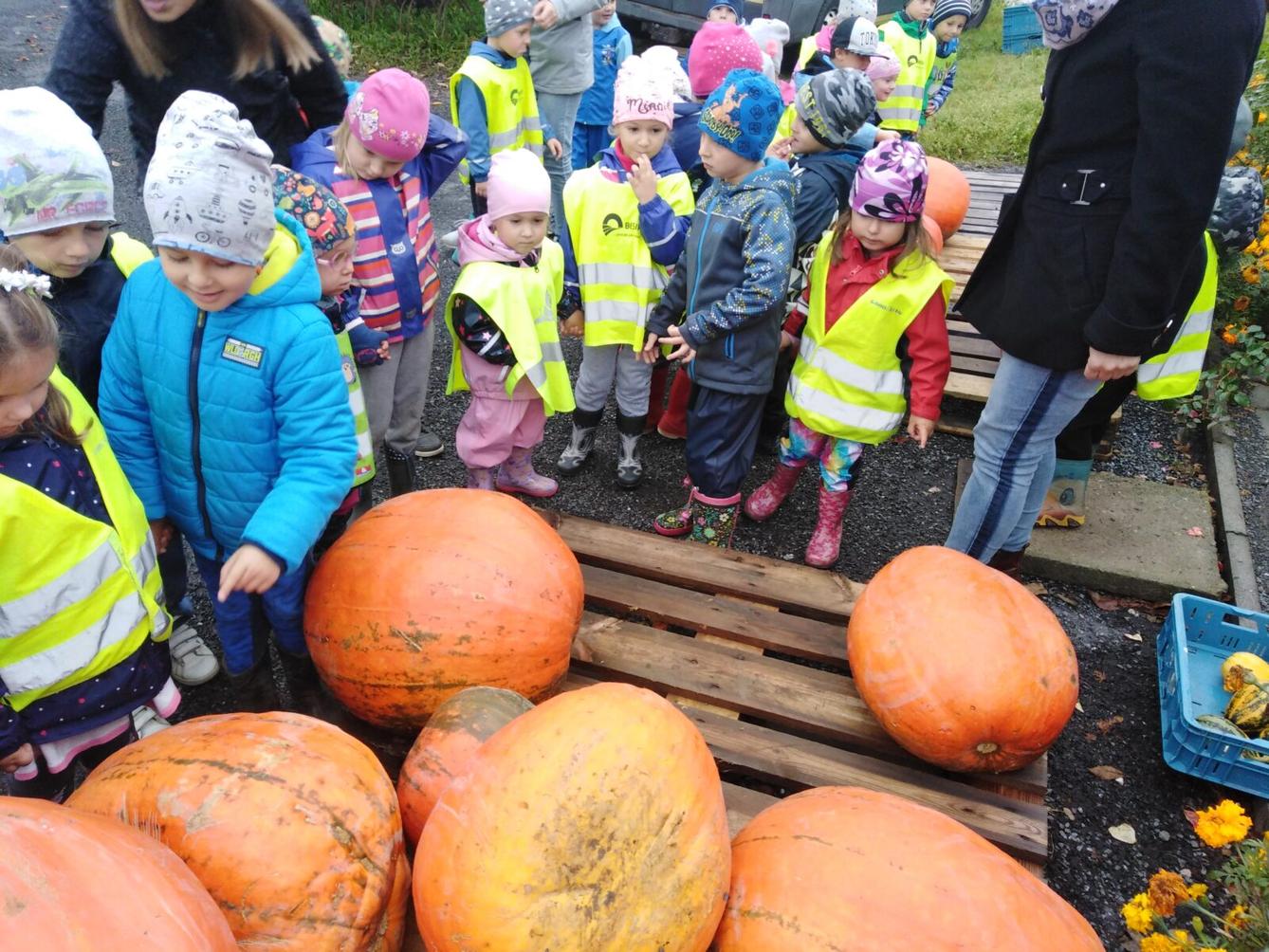 Vycházka k dýním - 4