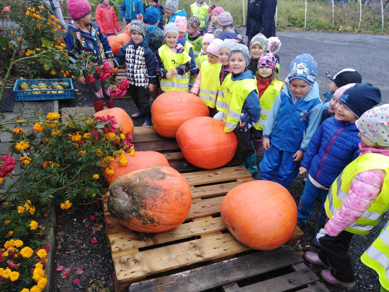 Vycházka k dýním - 8