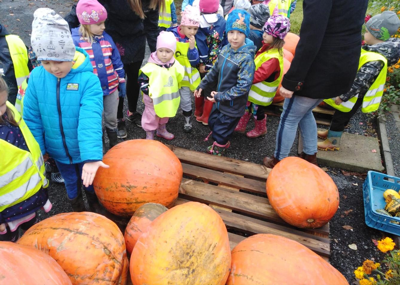 Vycházka k dýním - 11