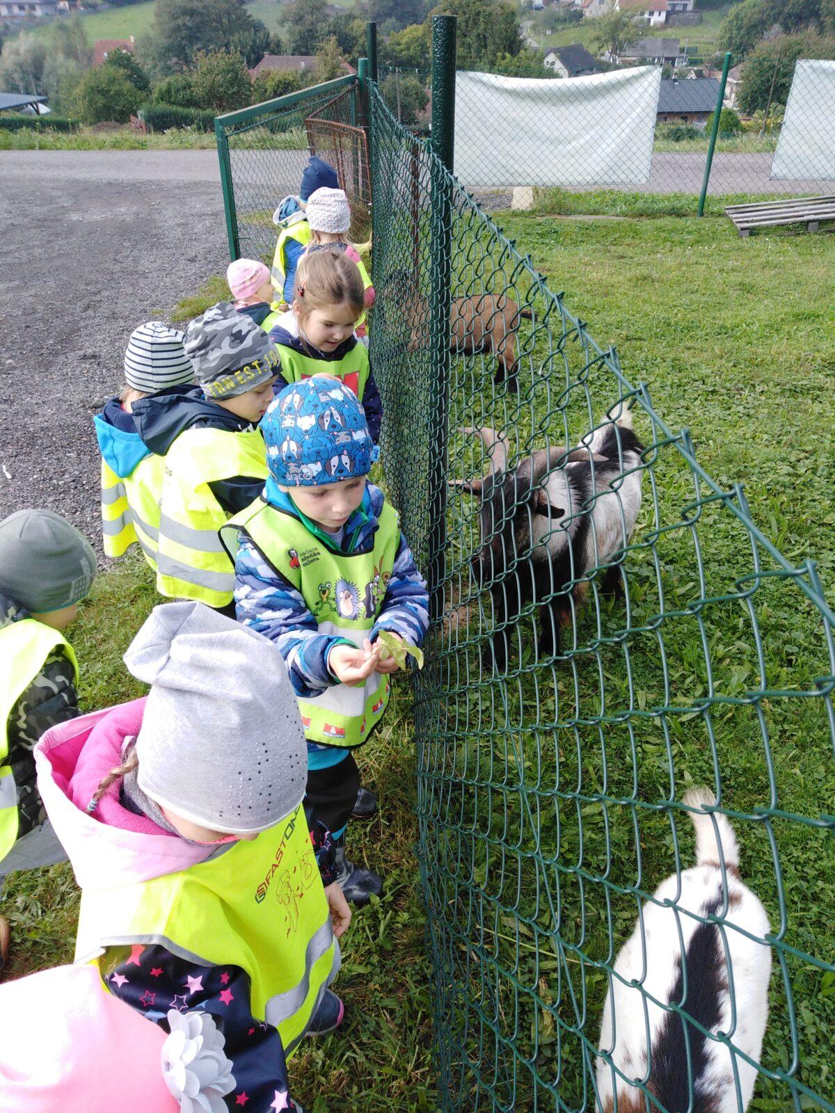 Broučci: vycházky za zvířátky - 4