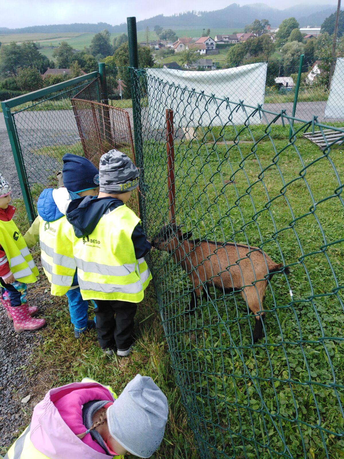 Broučci: vycházky za zvířátky - 9