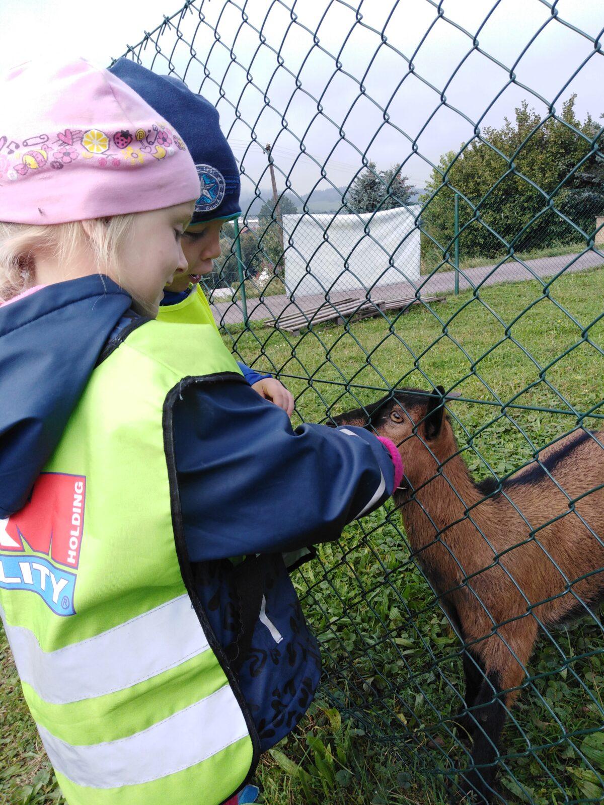 Broučci: vycházky za zvířátky - 10