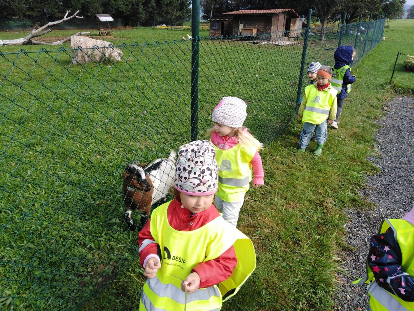 Broučci: vycházky za zvířátky - 13