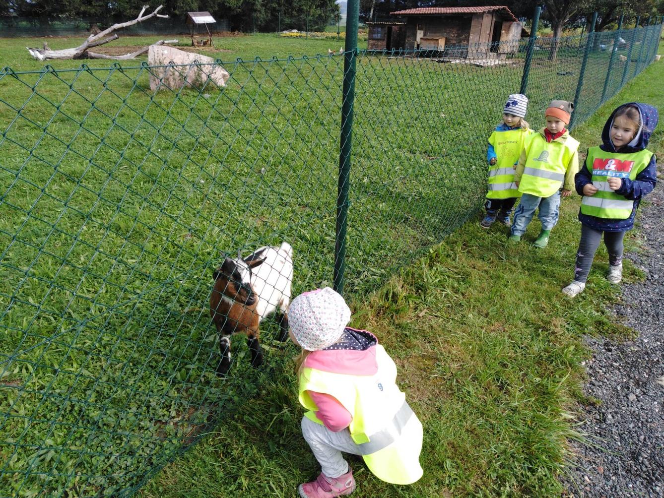 Broučci: vycházky za zvířátky - 14