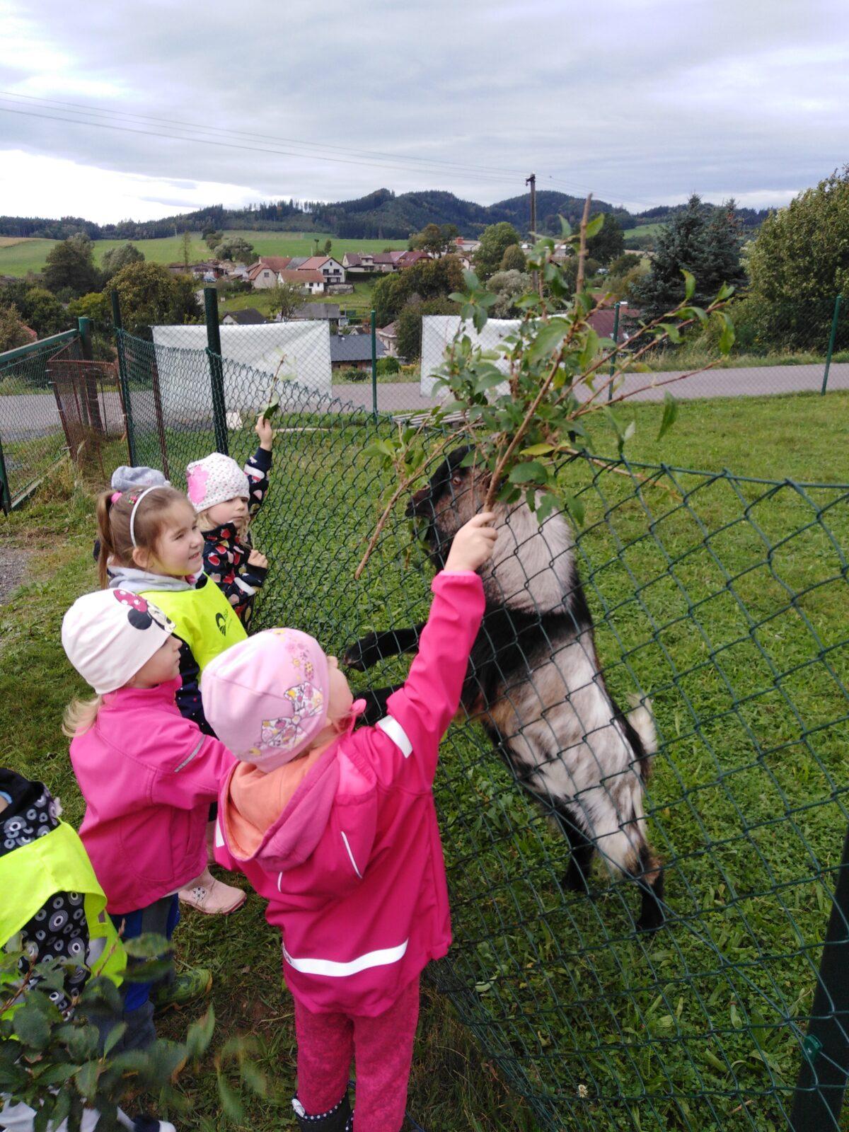 Broučci: vycházky za zvířátky - 19