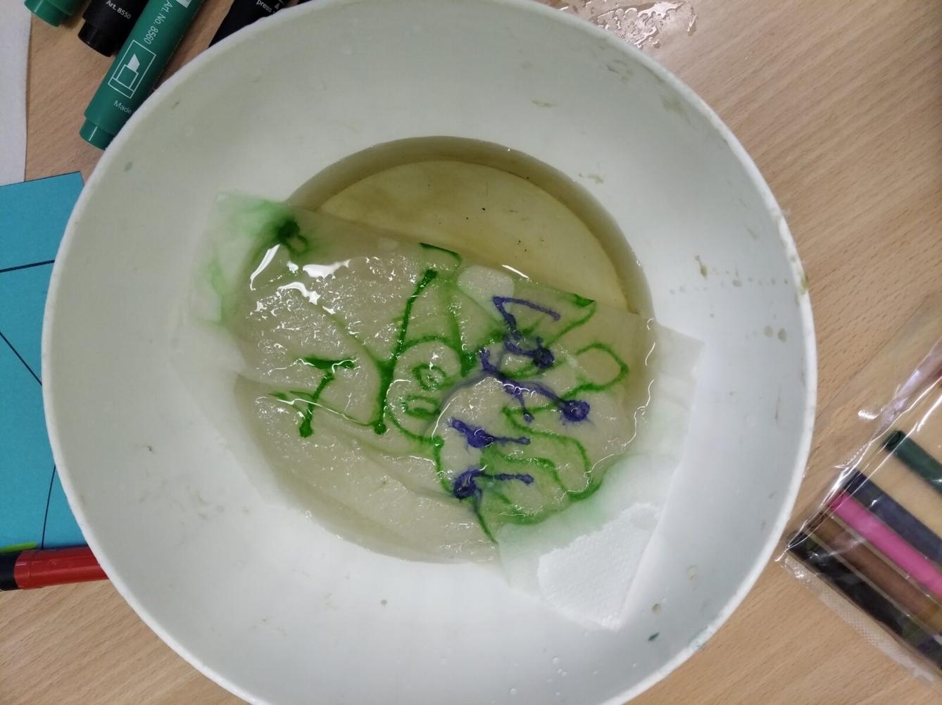 Projektový den: "Podmořský svět" II. - 20