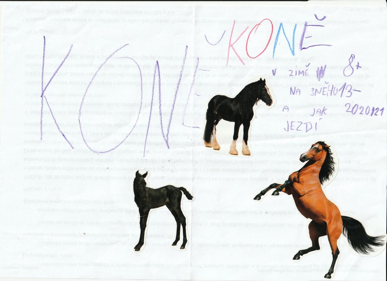 19. 10. čtenářský klub - 7