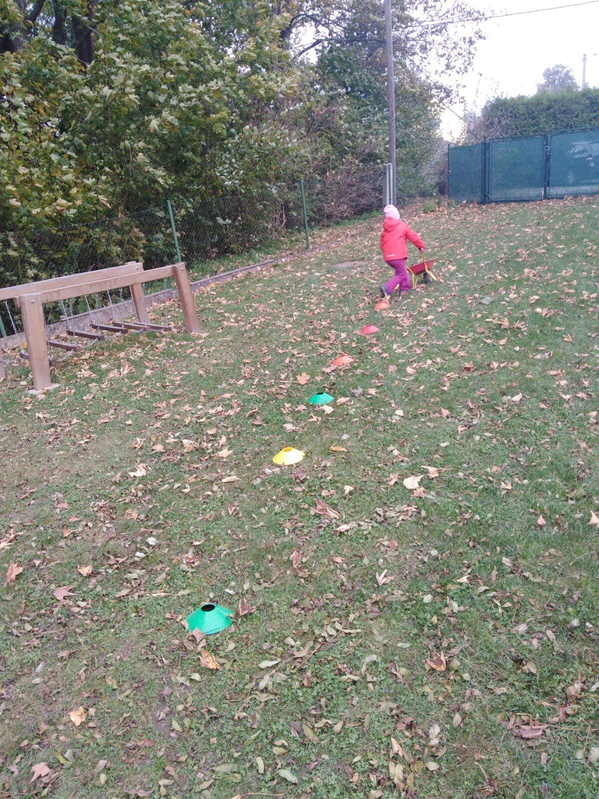 Bramboriáda v MŠ :-) - 46