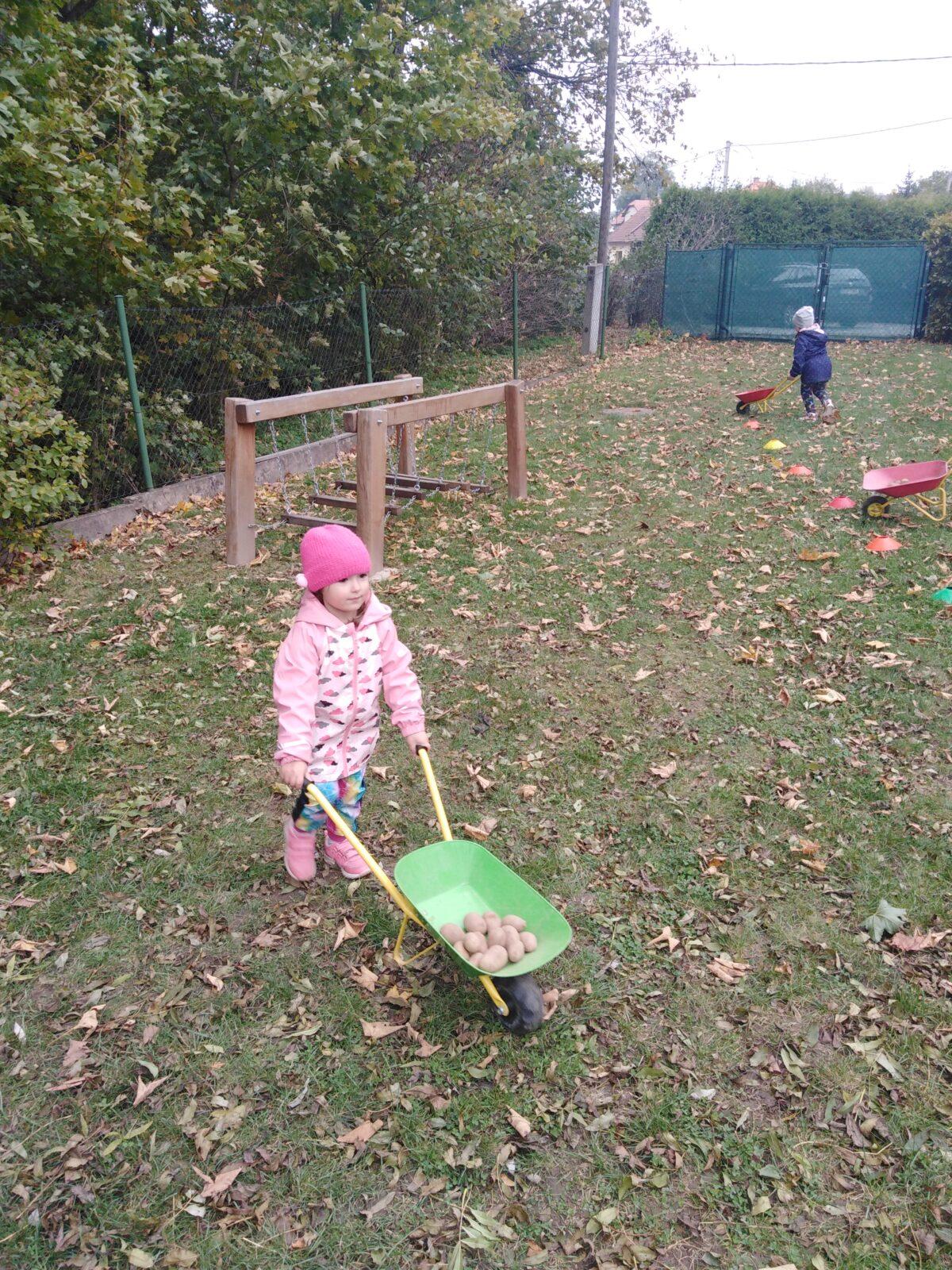 Bramboriáda v MŠ :-) - 67