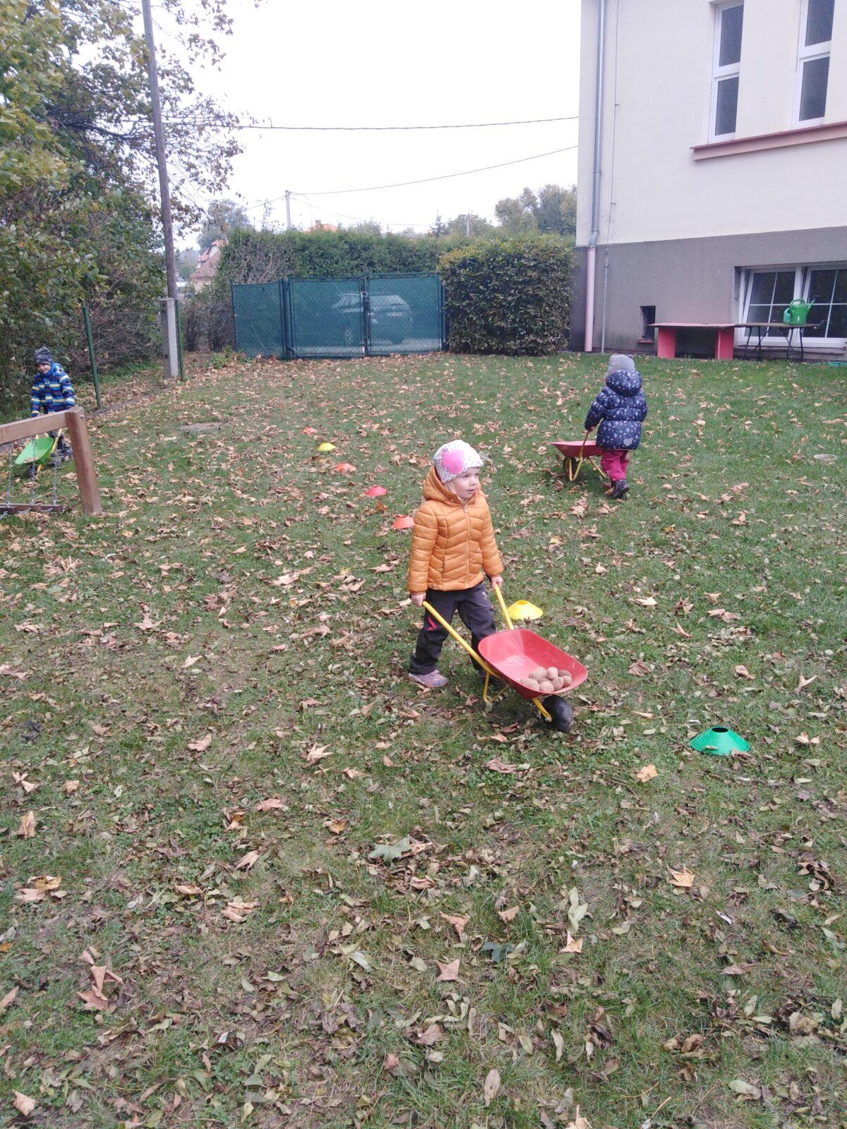 Bramboriáda v MŠ :-) - 81