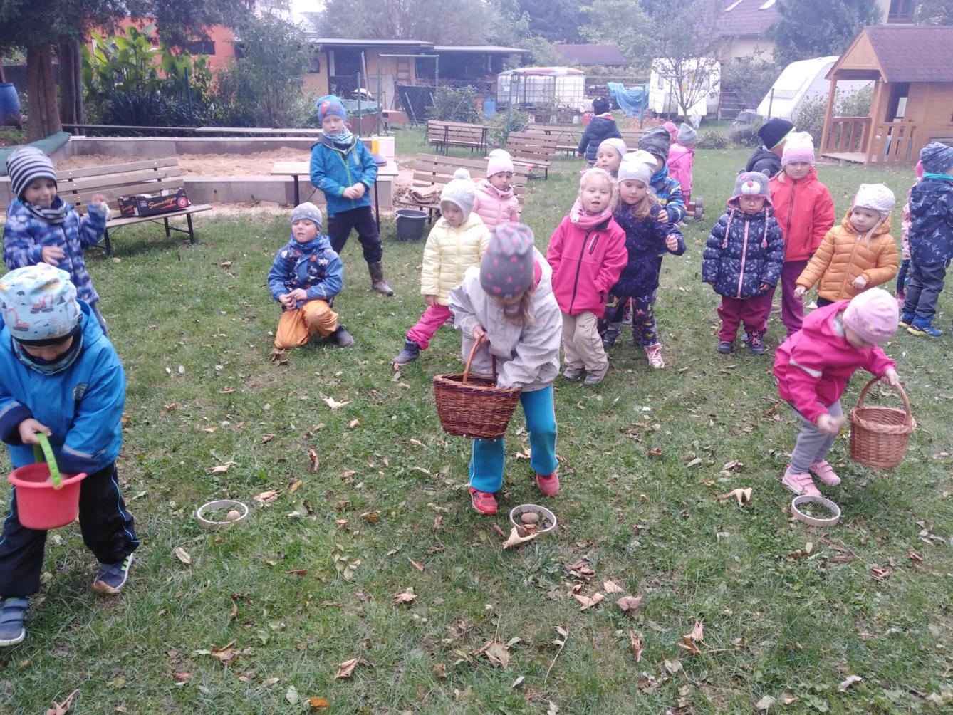 Bramboriáda v MŠ :-) - 138