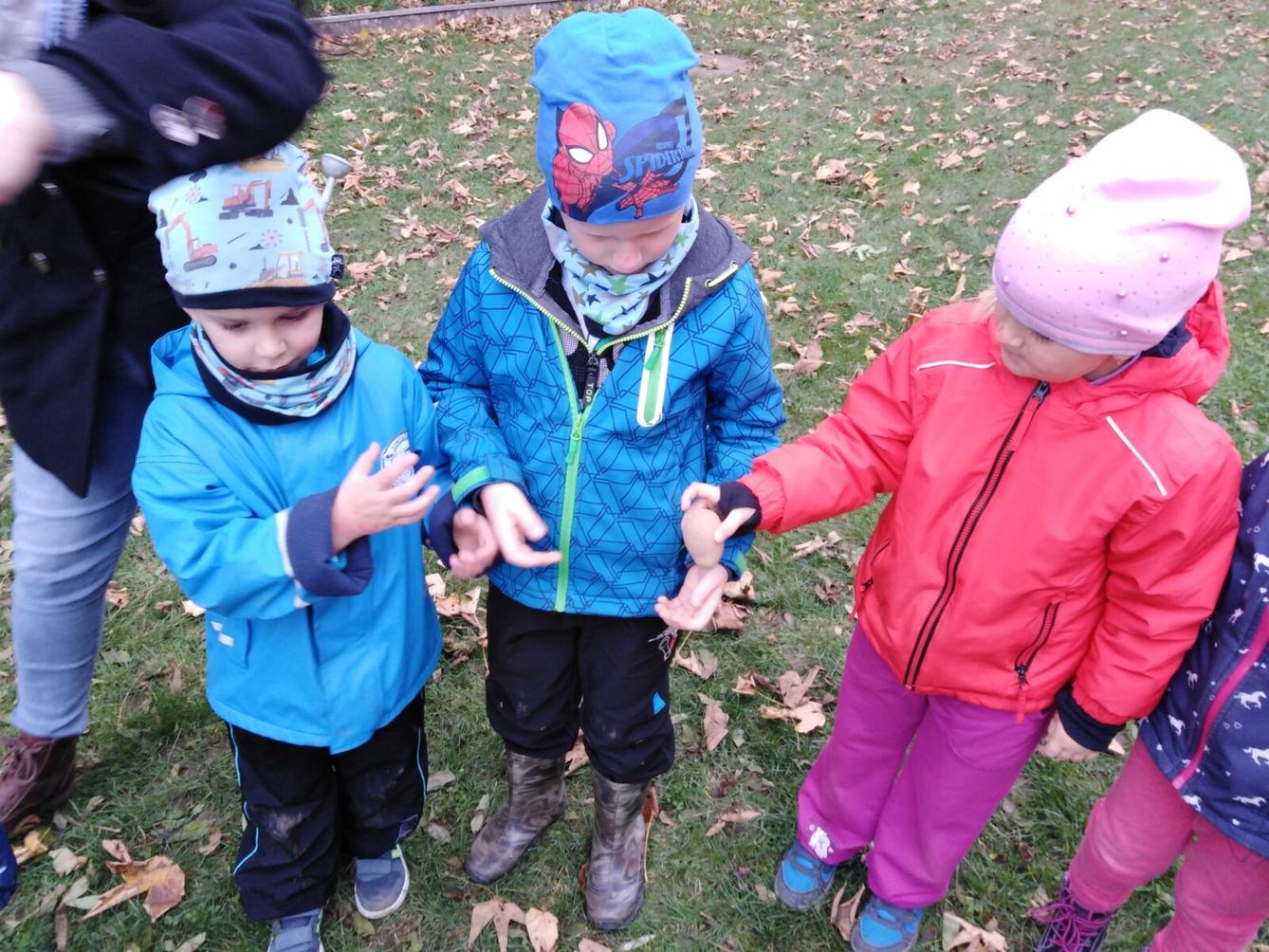 Bramboriáda v MŠ :-) - 172