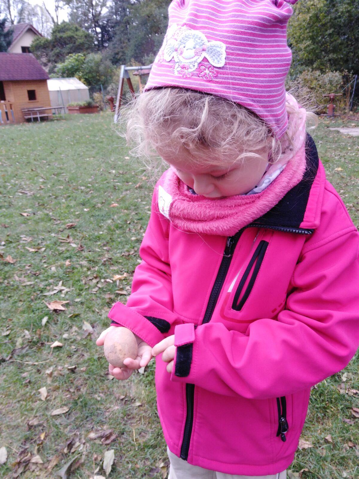 Bramboriáda v MŠ :-) - 176