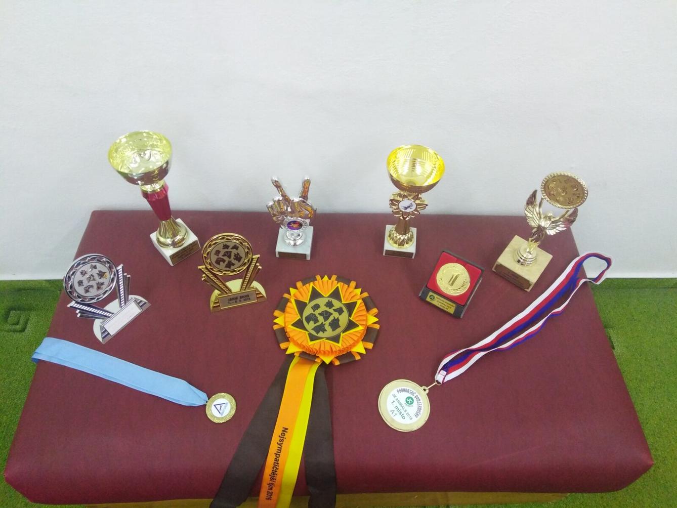 Projektový den v MŠ: AGILITY - 7