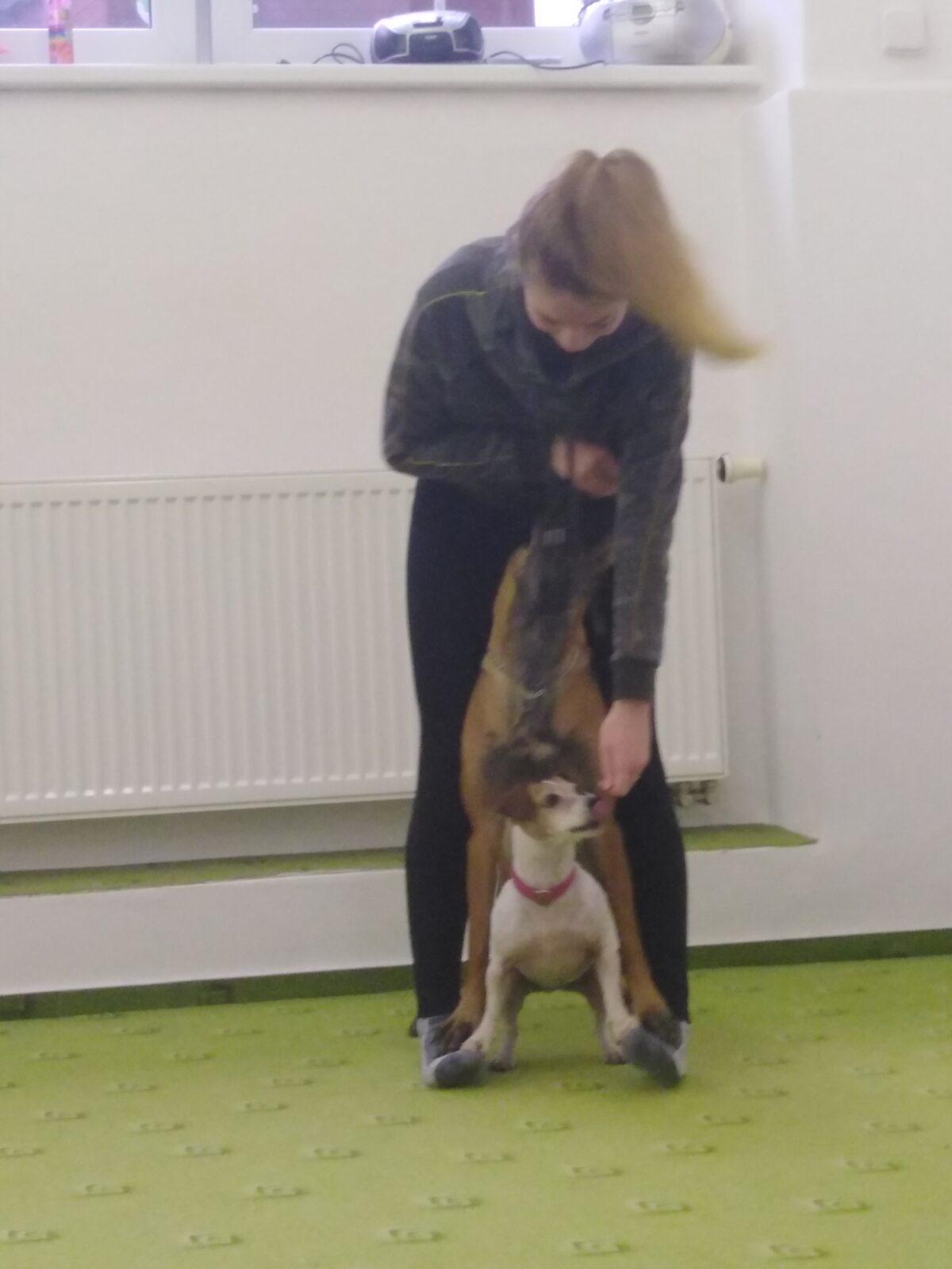 Projektový den v MŠ: AGILITY - 12