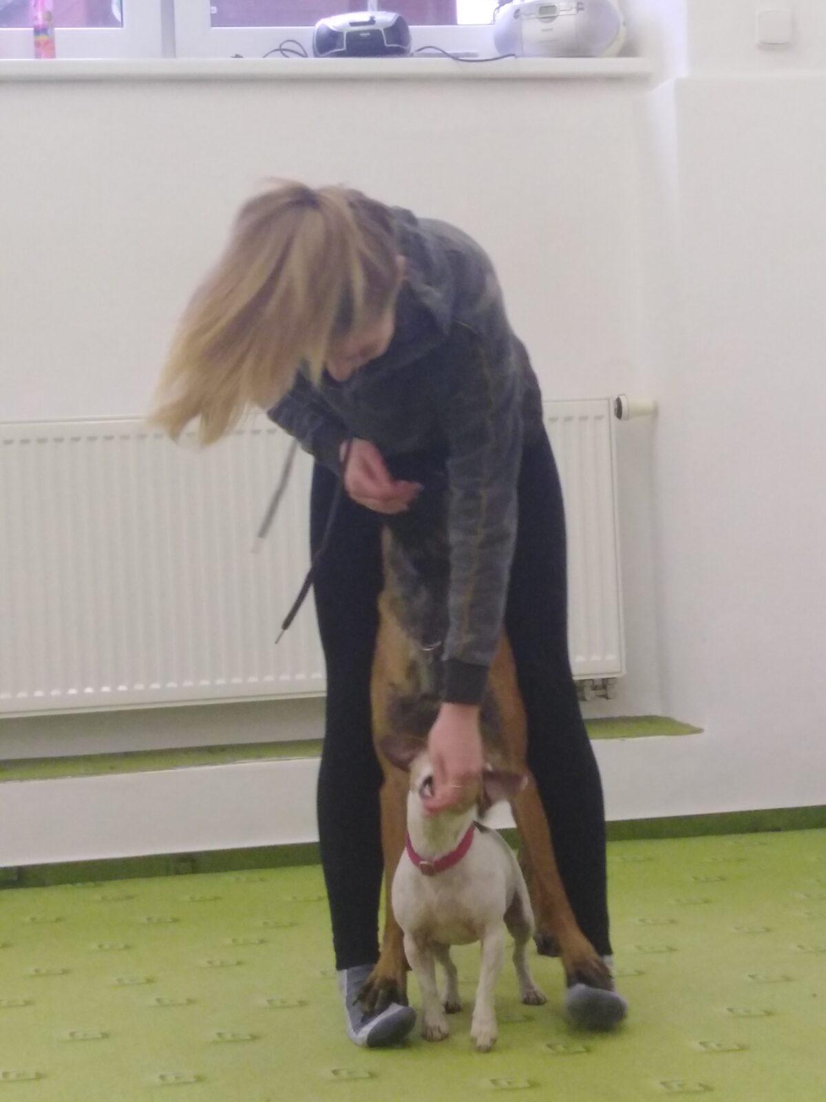 Projektový den v MŠ: AGILITY - 13