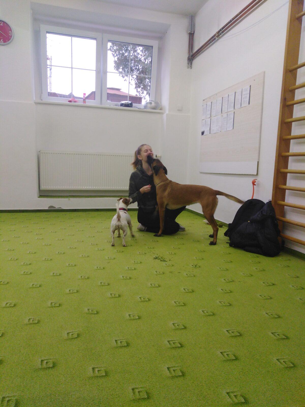 Projektový den v MŠ: AGILITY - 20