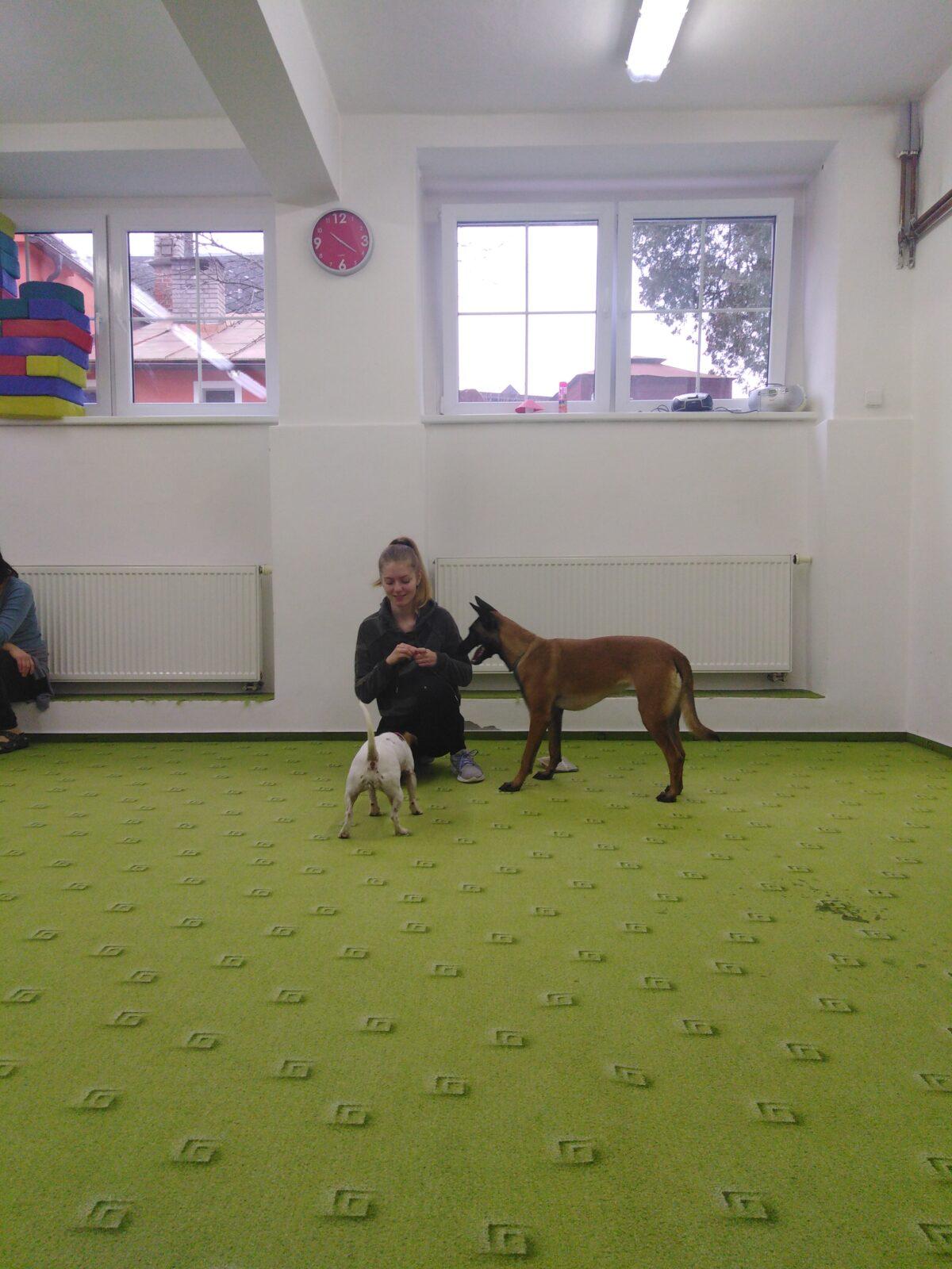 Projektový den v MŠ: AGILITY - 21