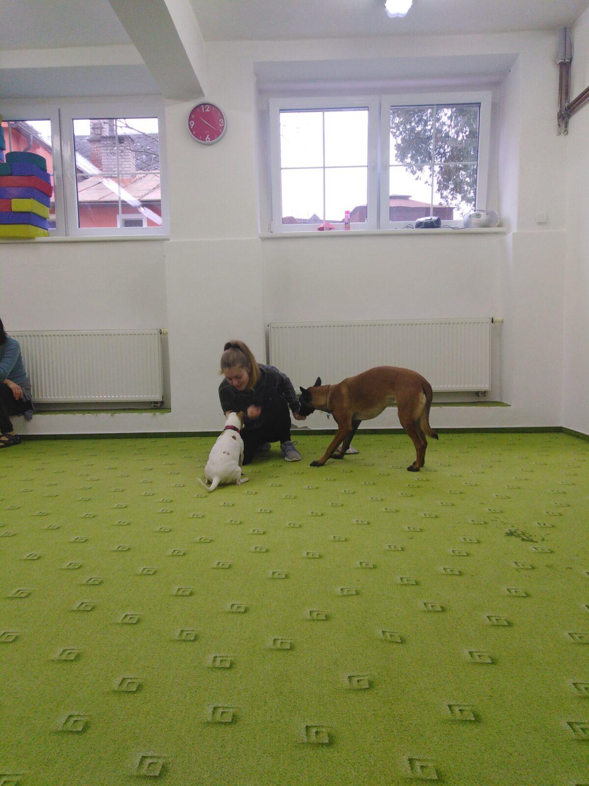 Projektový den v MŠ: AGILITY - 22