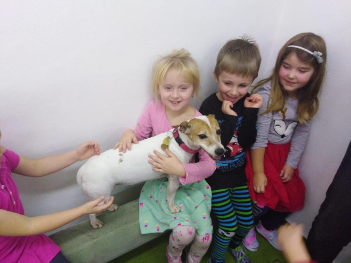 Projektový den v MŠ: AGILITY - 31