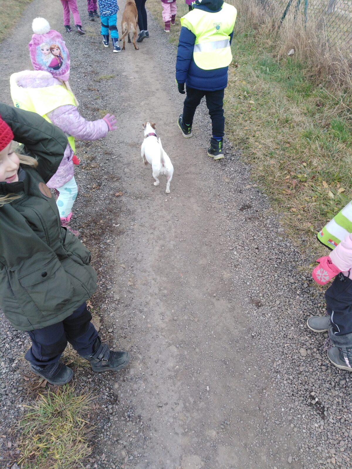 Projektový den v MŠ: AGILITY - 34