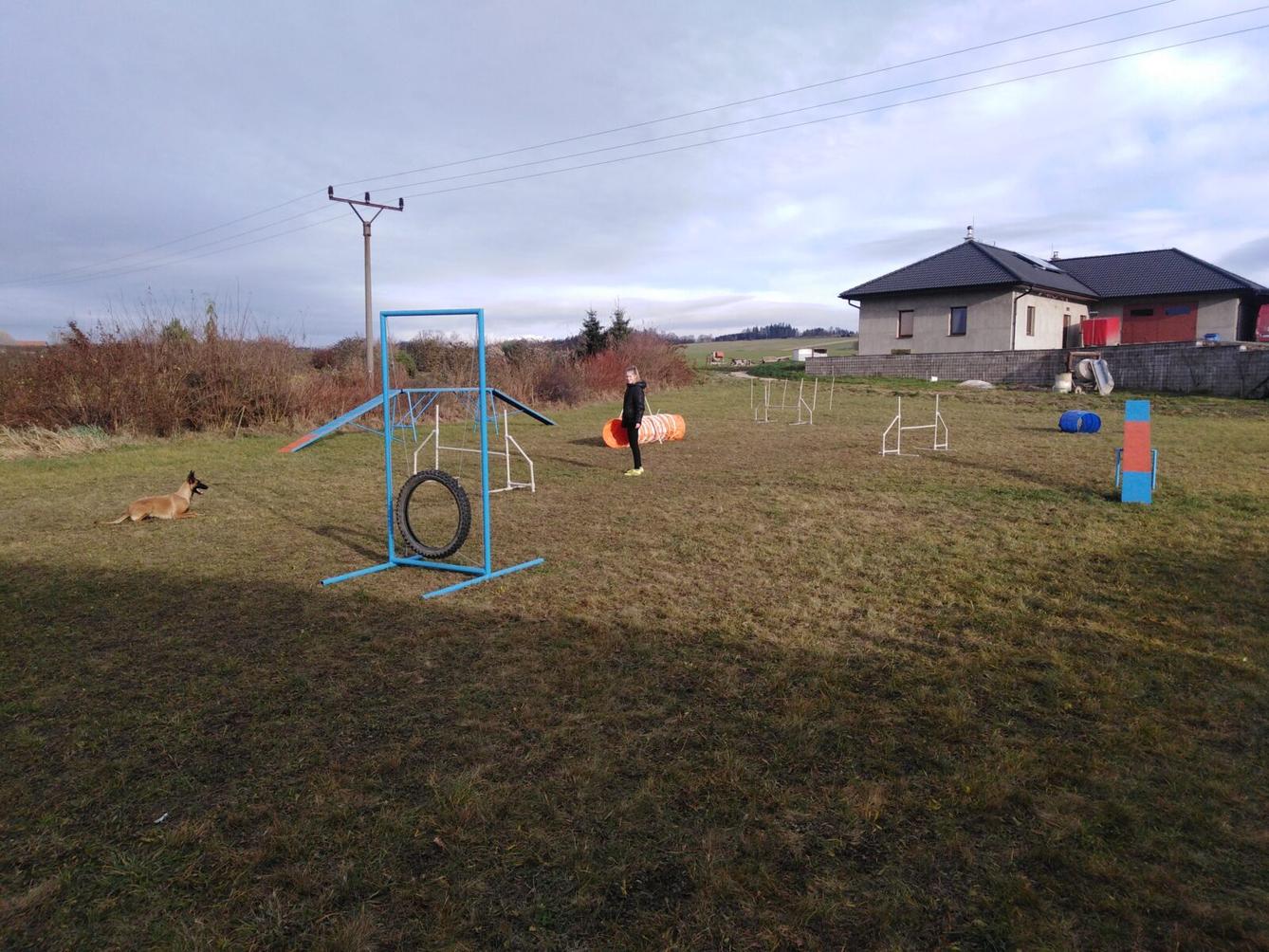 Projektový den v MŠ: AGILITY - 50