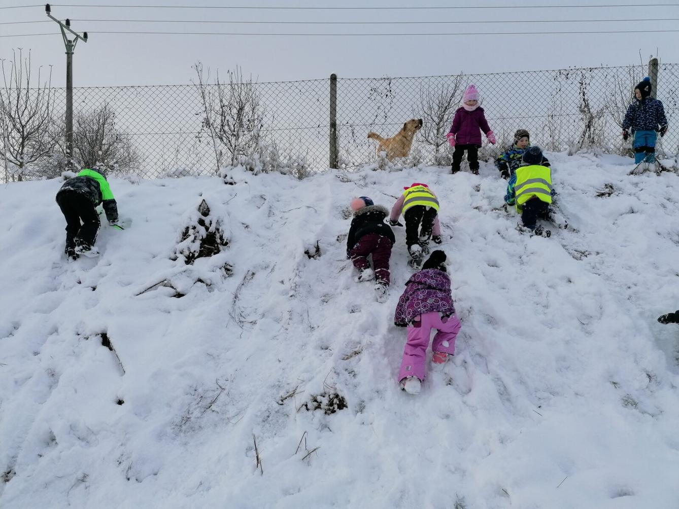 Konečně sníh!! užíváme si ho ze všech sil:-) - 41