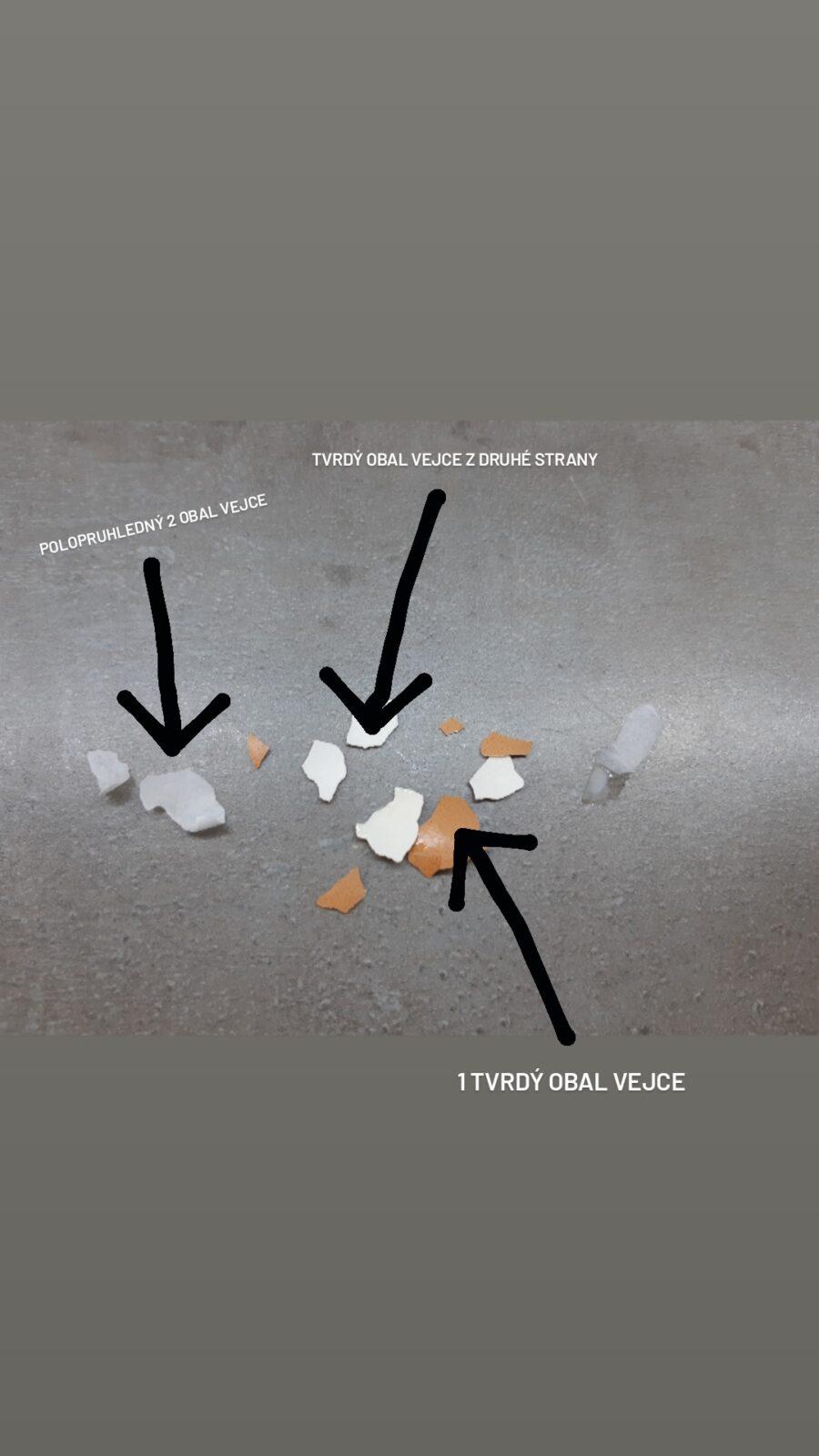 Laboratorní práce u sedmáků - 6