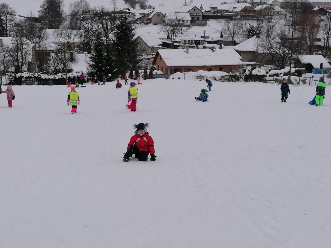 ZIMNÍ OLYMPIJSKÉ HRY V MŠ  III. (závody "bobů" a "spřežení" :-)) - 44