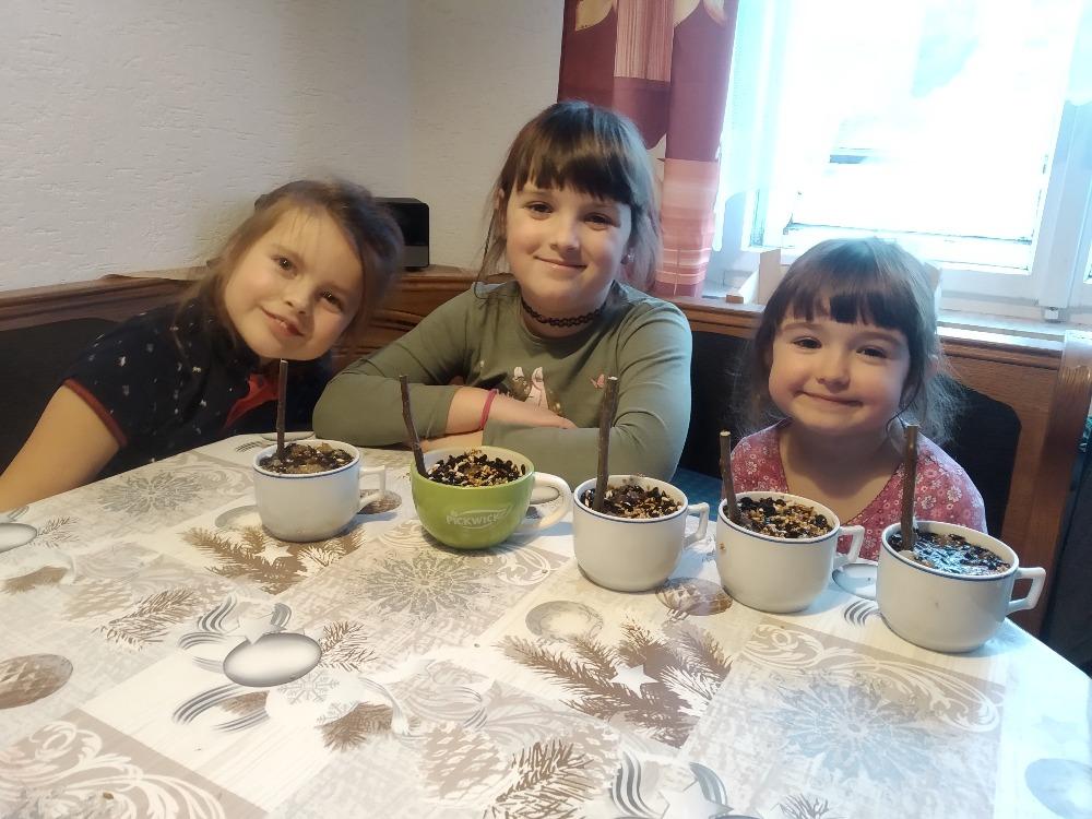 Krmítka pro ptáčky :-) - 20