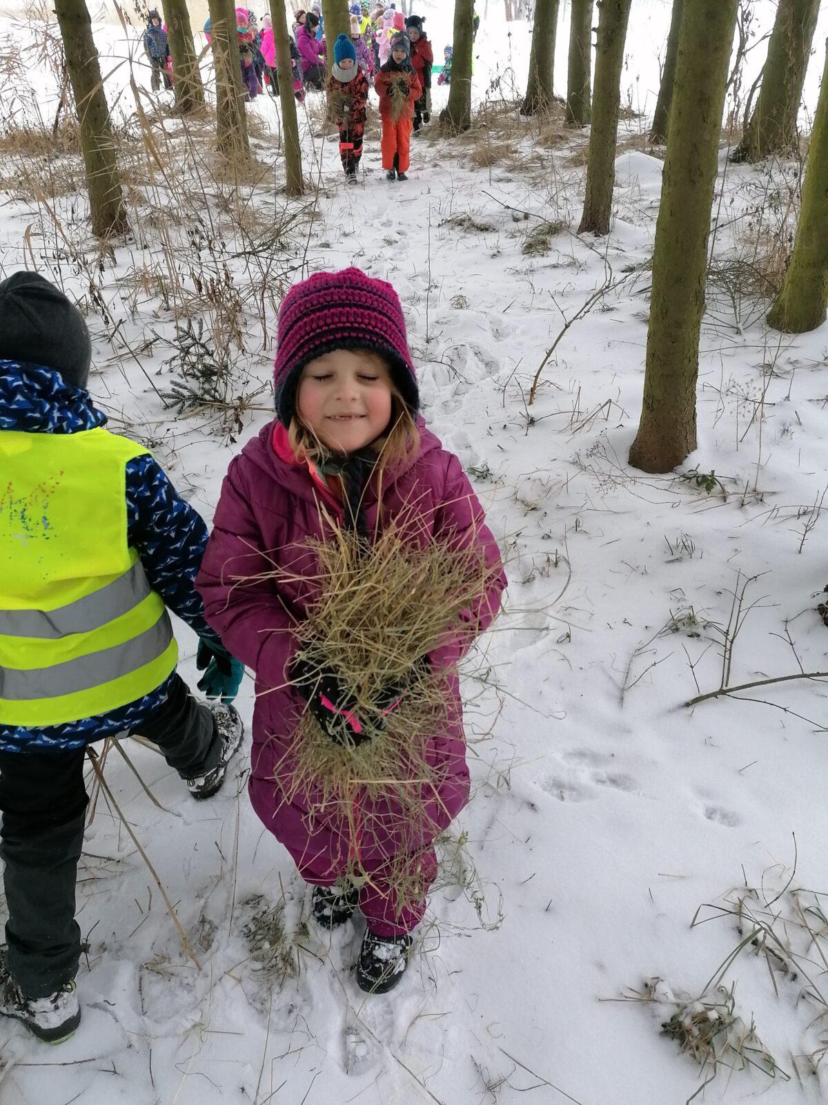 Pomáháme zvířátkům v zimě:-) - 8
