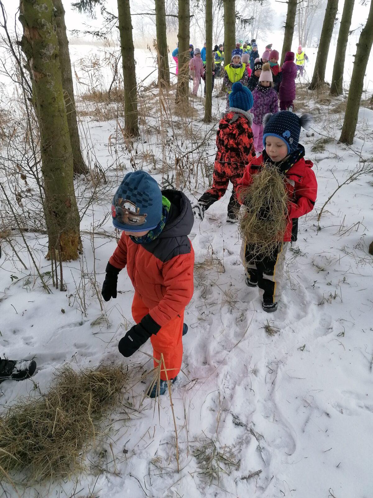 Pomáháme zvířátkům v zimě:-) - 10