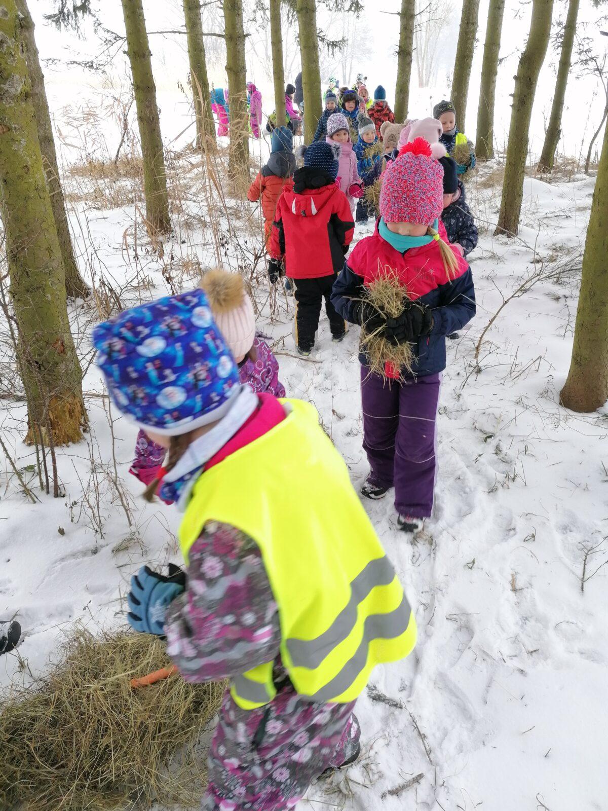 Pomáháme zvířátkům v zimě:-) - 11