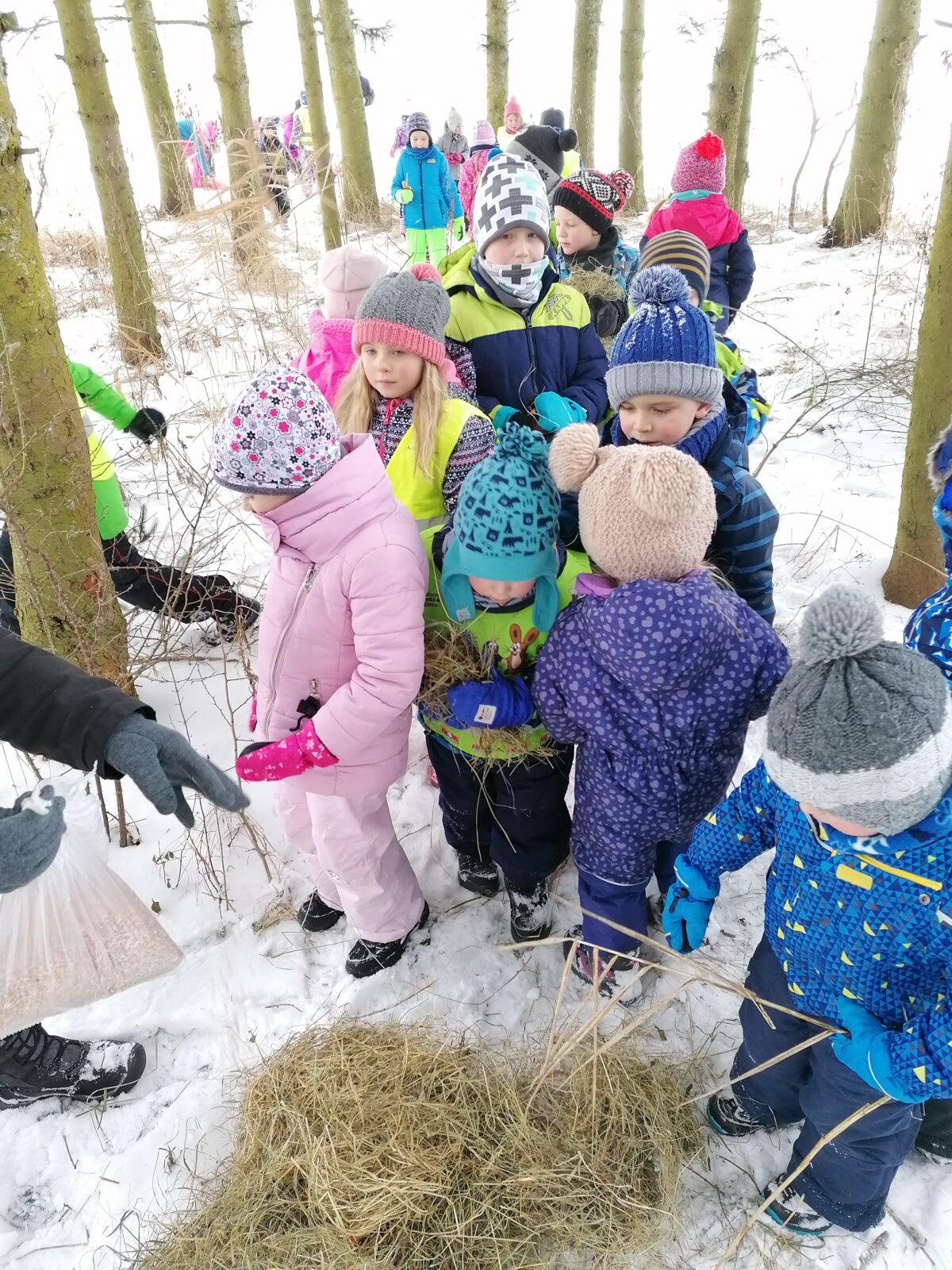 Pomáháme zvířátkům v zimě:-) - 14