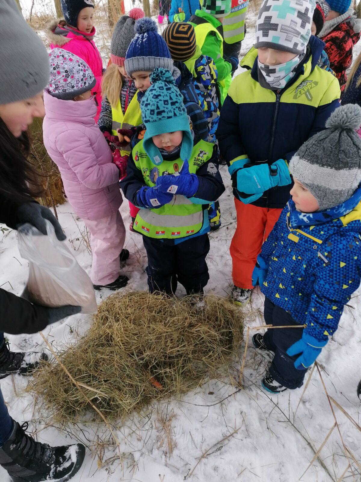 Pomáháme zvířátkům v zimě:-) - 15