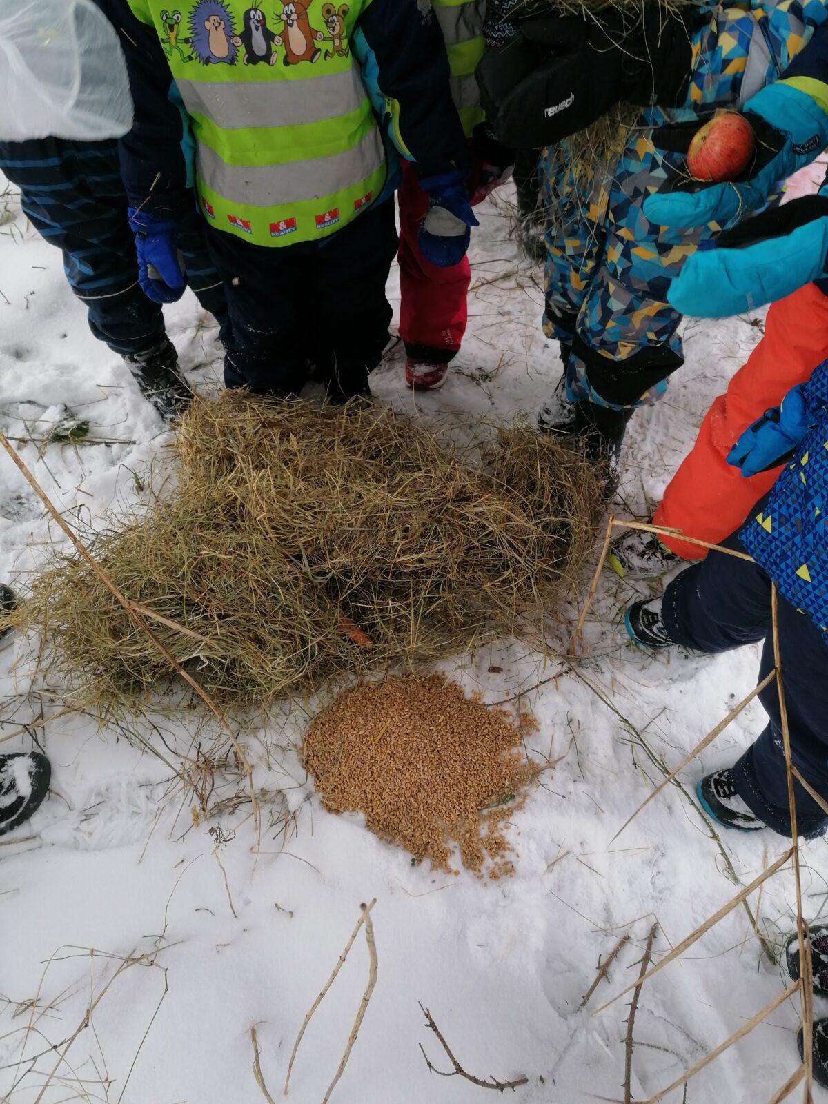 Pomáháme zvířátkům v zimě:-) - 16