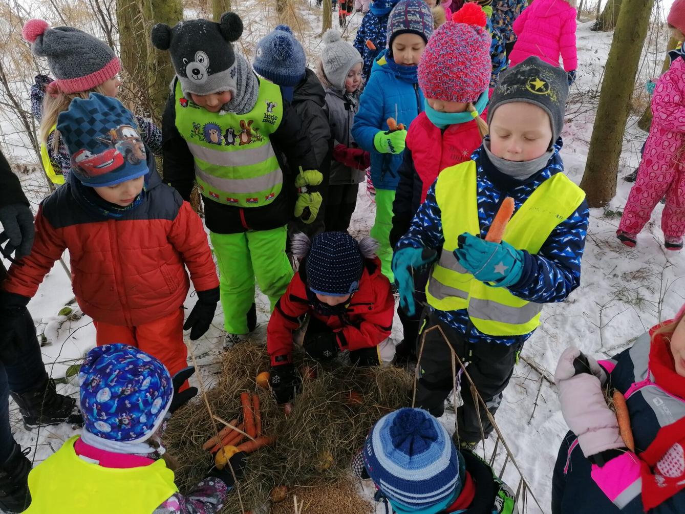 Pomáháme zvířátkům v zimě:-) - 18