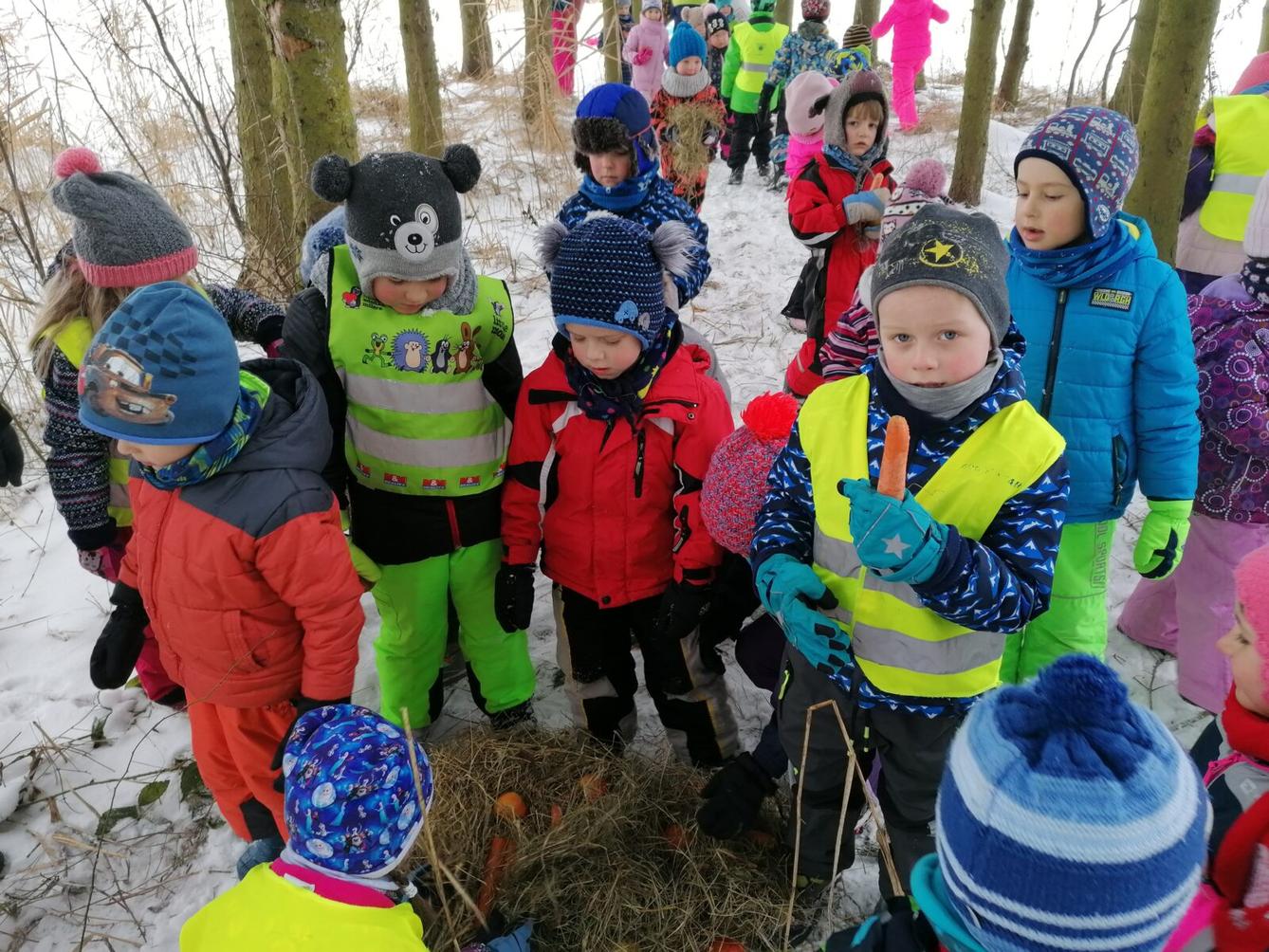 Pomáháme zvířátkům v zimě:-) - 19