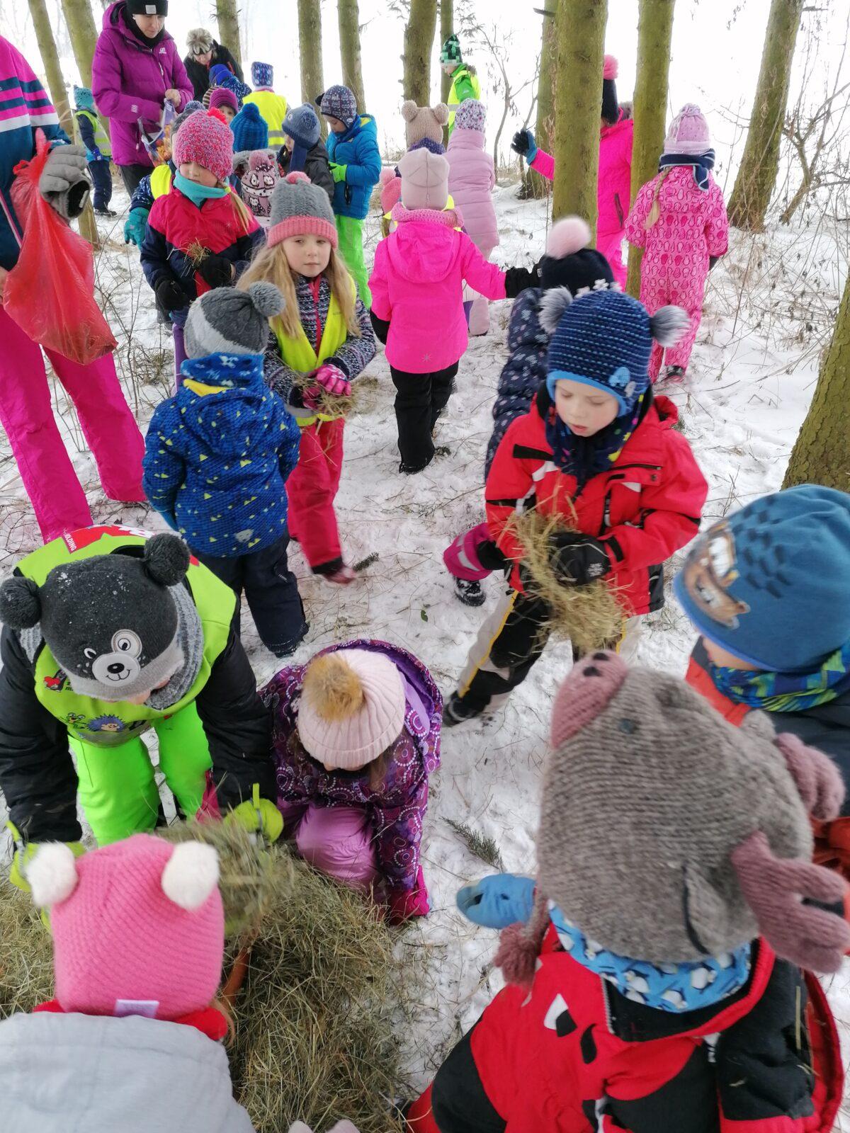 Pomáháme zvířátkům v zimě:-) - 23
