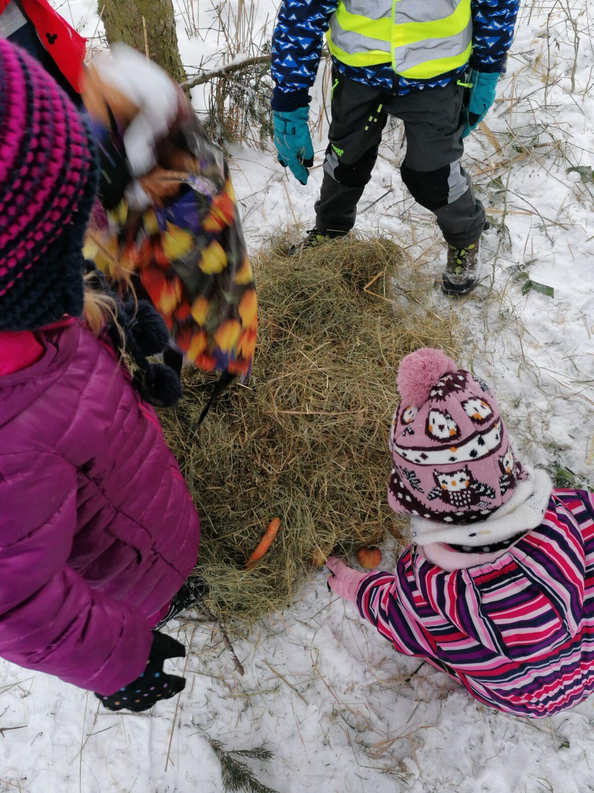Pomáháme zvířátkům v zimě:-) - 24