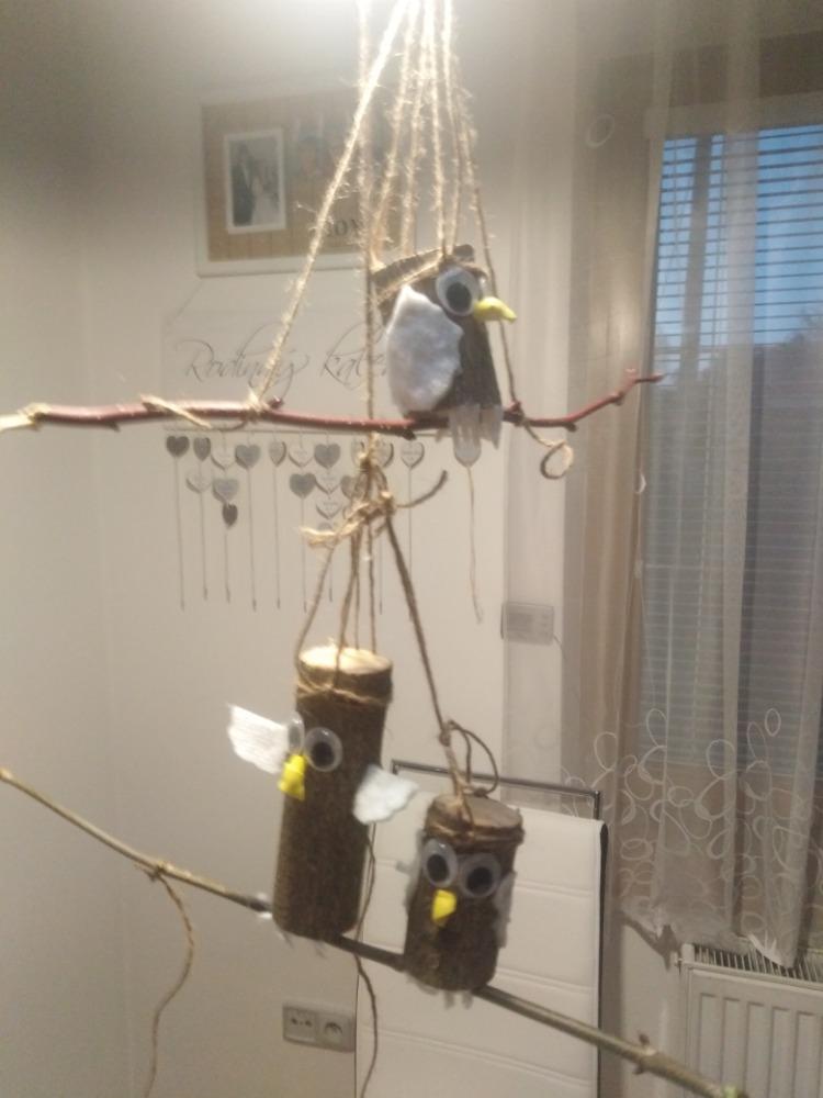 Spojení přírodopisu s pracovními činnostmi u sedmáků - 10